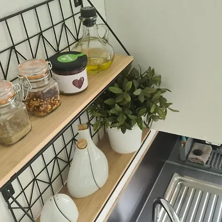 Tor Zum Vogtland !! شقة